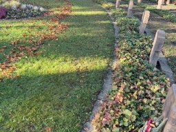 Kriegsgräberpflege 2025